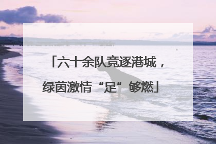 六十余队竞逐港城，绿茵激情“足”够燃
