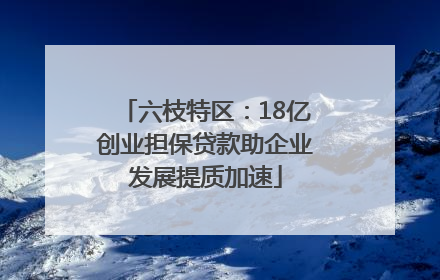 六枝特区：18亿创业担保贷款助企业发展提质加速