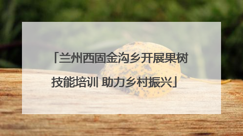 兰州西固金沟乡开展果树技能培训 助力乡村振兴