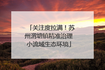 关注度拉满！苏州渭塘镇精准治理小流域生态环境