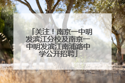 关注！南京一中明发滨江分校及南京一中明发滨江南浦路中学公开招聘
