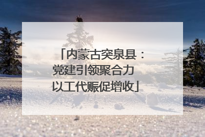 内蒙古突泉县：党建引领聚合力 以工代赈促增收