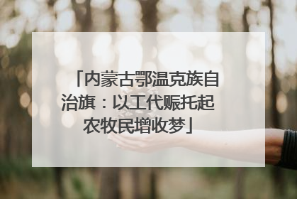 内蒙古鄂温克族自治旗：以工代赈托起农牧民增收梦
