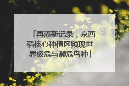 再添新记录，京西稻核心种植区频现世界极危与濒危鸟种