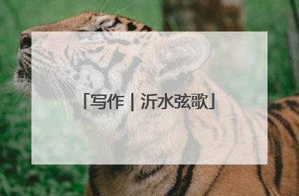 写作｜沂水弦歌