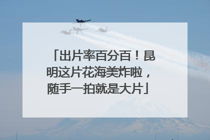 出片率百分百！昆明这片花海美炸啦，随手一拍就是大片
