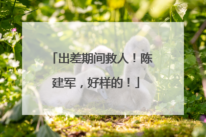 出差期间救人！陈建军，好样的！