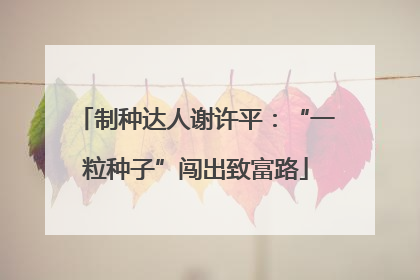 制种达人谢许平：“一粒种子”闯出致富路
