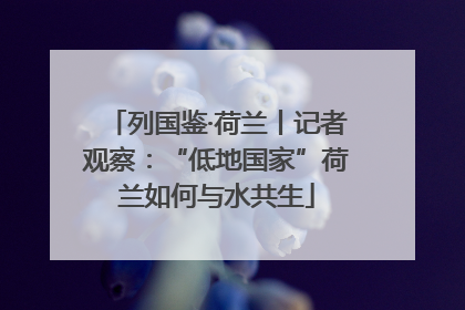 列国鉴·荷兰丨记者观察：“低地国家”荷兰如何与水共生