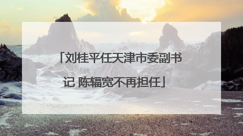 刘桂平任天津市委副书记 陈辐宽不再担任