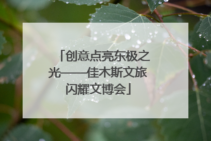 创意点亮东极之光——佳木斯文旅闪耀文博会