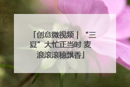创意微视频｜“三夏”大忙正当时 麦浪滚滚穗飘香
