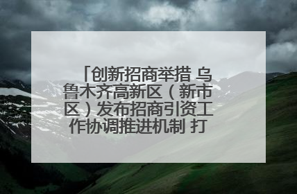 创新招商举措 乌鲁木齐高新区（新市区）发布招商引资工作协调推进机制 打造投资发展新高地