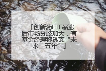 创新药ETF暴涨后市场分歧加大，有基金经理称透支“未来三五年”