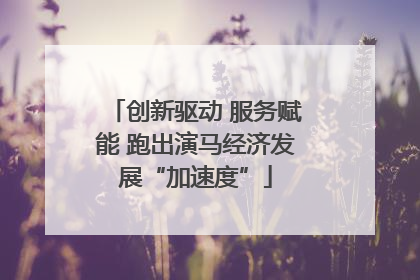 创新驱动 服务赋能 跑出演马经济发展“加速度”