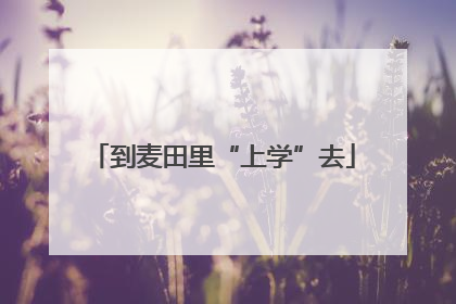 到麦田里“上学”去