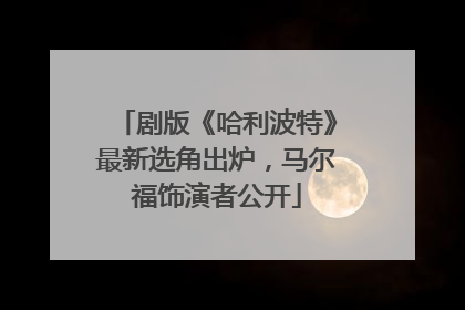 剧版《哈利波特》最新选角出炉，马尔福饰演者公开