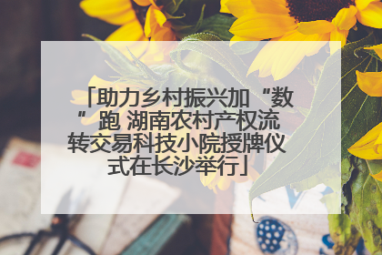 助力乡村振兴加“数”跑 湖南农村产权流转交易科技小院授牌仪式在长沙举行