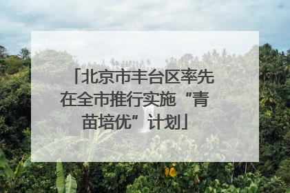 北京市丰台区率先在全市推行实施“青苗培优”计划