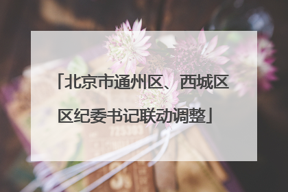 北京市通州区、西城区区纪委书记联动调整