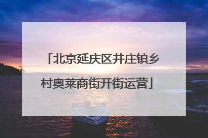 北京延庆区井庄镇乡村奥莱商街开街运营