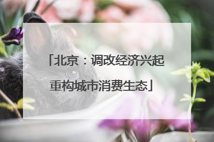 北京：调改经济兴起 重构城市消费生态