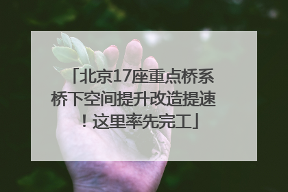 北京17座重点桥系桥下空间提升改造提速！这里率先完工