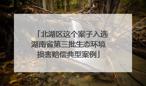 北湖区这个案子入选湖南省第三批生态环境损害赔偿典型案例