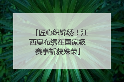 匠心织锦绣！江西夏布绣在国家级赛事斩获殊荣
