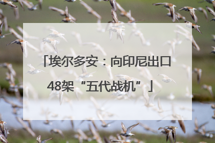 埃尔多安：向印尼出口48架“五代战机”