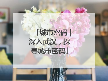城市密码｜深入武汉，探寻城市密码