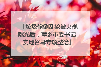 垃圾偷倒乱象被央视曝光后，萍乡市委书记实地督导专项整治