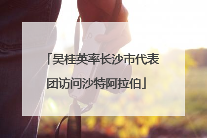 吴桂英率长沙市代表团访问沙特阿拉伯