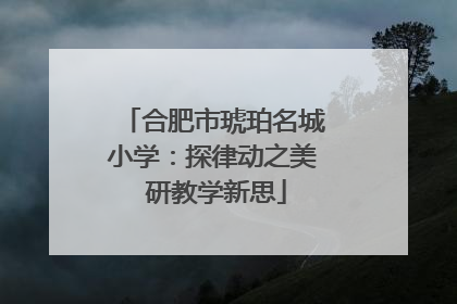 合肥市琥珀名城小学：探律动之美 研教学新思