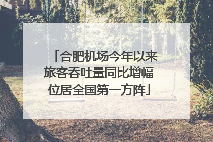 合肥机场今年以来旅客吞吐量同比增幅位居全国第一方阵