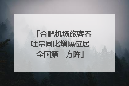 合肥机场旅客吞吐量同比增幅位居全国第一方阵