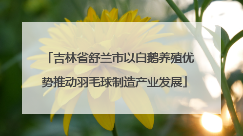 吉林省舒兰市以白鹅养殖优势推动羽毛球制造产业发展