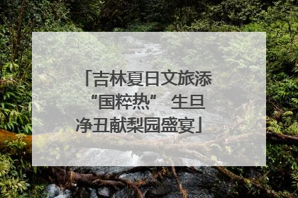 吉林夏日文旅添“国粹热” 生旦净丑献梨园盛宴