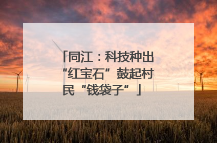 同江：科技种出“红宝石”鼓起村民“钱袋子”