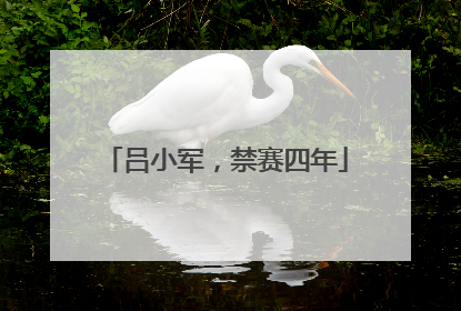 吕小军，禁赛四年