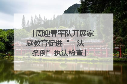 周迎春率队开展家庭教育促进“一法一条例”执法检查