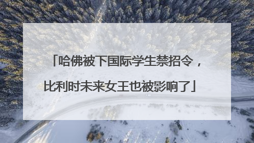 哈佛被下国际学生禁招令，比利时未来女王也被影响了