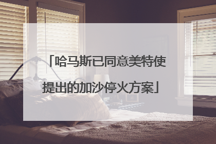 哈马斯已同意美特使提出的加沙停火方案
