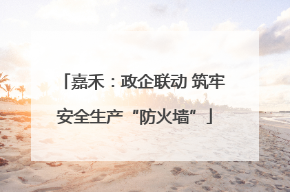 嘉禾：政企联动 筑牢安全生产“防火墙”