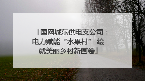 国网城东供电支公司：电力赋能“水果村” 绘就美丽乡村新画卷