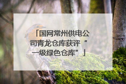 国网常州供电公司青龙仓库获评“一级绿色仓库”