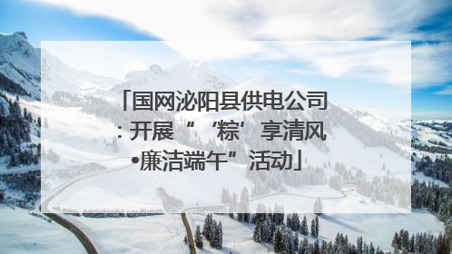 国网泌阳县供电公司：开展“‘粽’享清风 •廉洁端午”活动