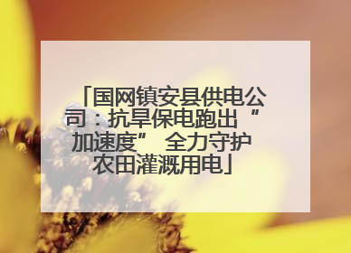 国网镇安县供电公司：抗旱保电跑出“加速度” 全力守护农田灌溉用电