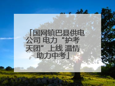 国网镇巴县供电公司 电力“护考天团”上线 温情助力中考