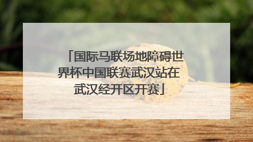国际马联场地障碍世界杯中国联赛武汉站在武汉经开区开赛